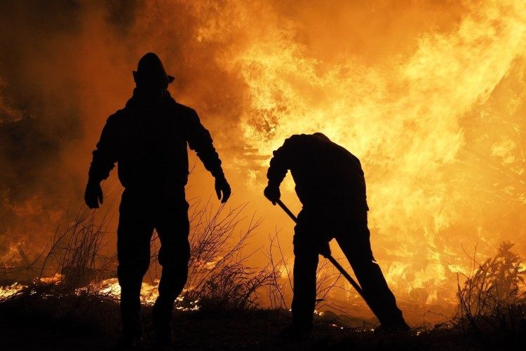 How You Can Help those Affected by the Bushfires