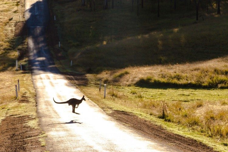 5 off the beaten track camping destinations in Queensland